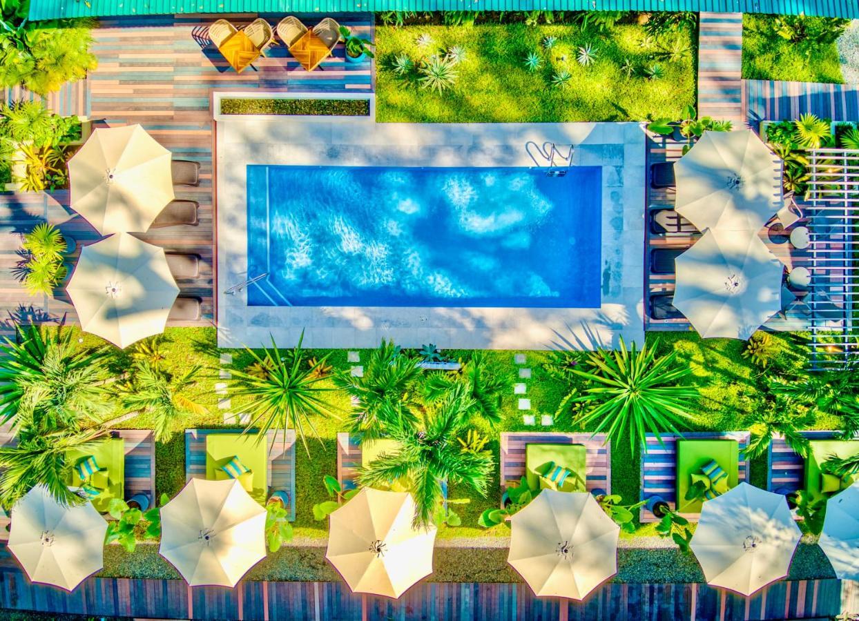 Exotico Beach Hotel Puerto Viejo de Talamanca Exteriér fotografie