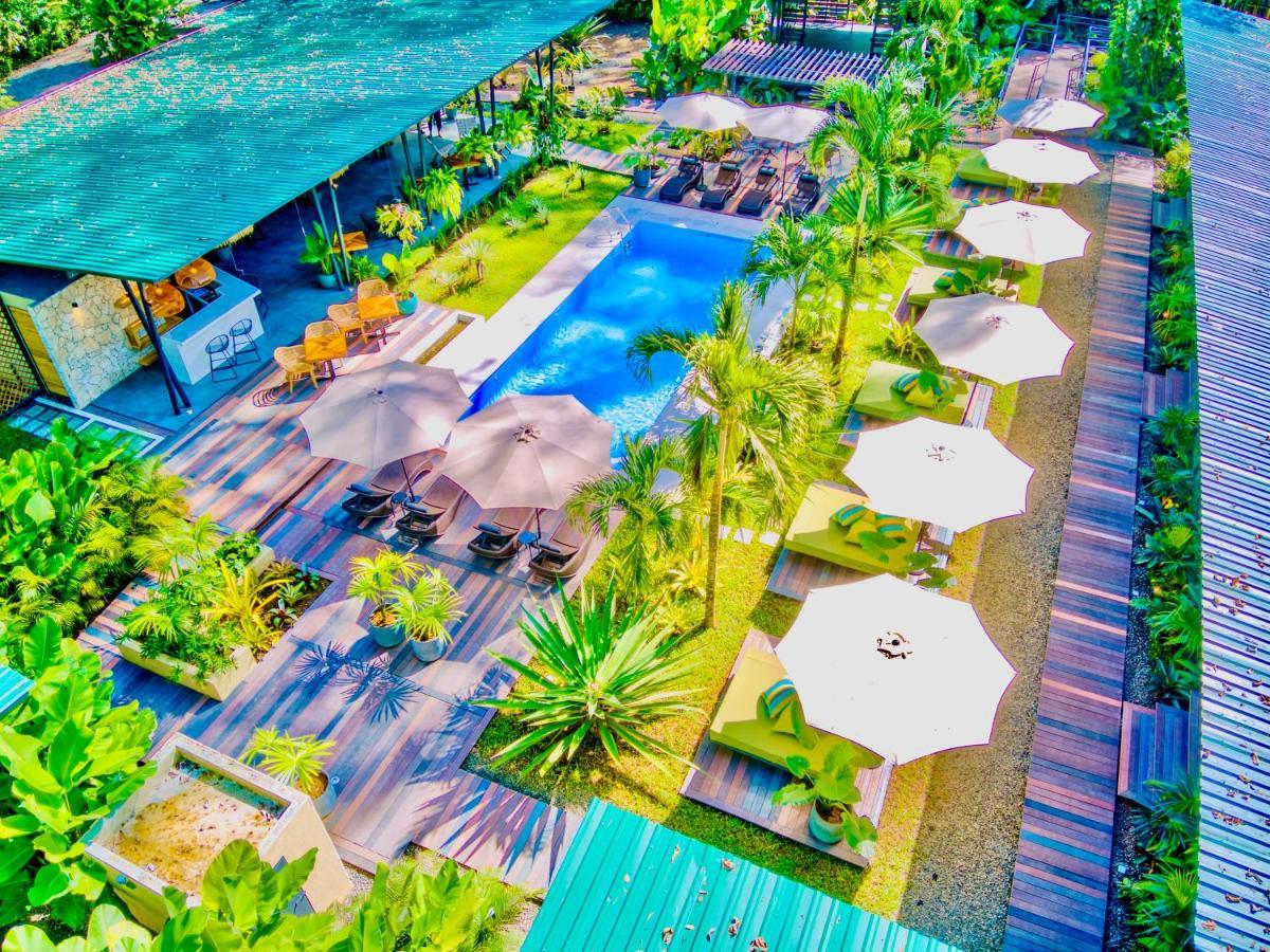 Exotico Beach Hotel Puerto Viejo de Talamanca Exteriér fotografie