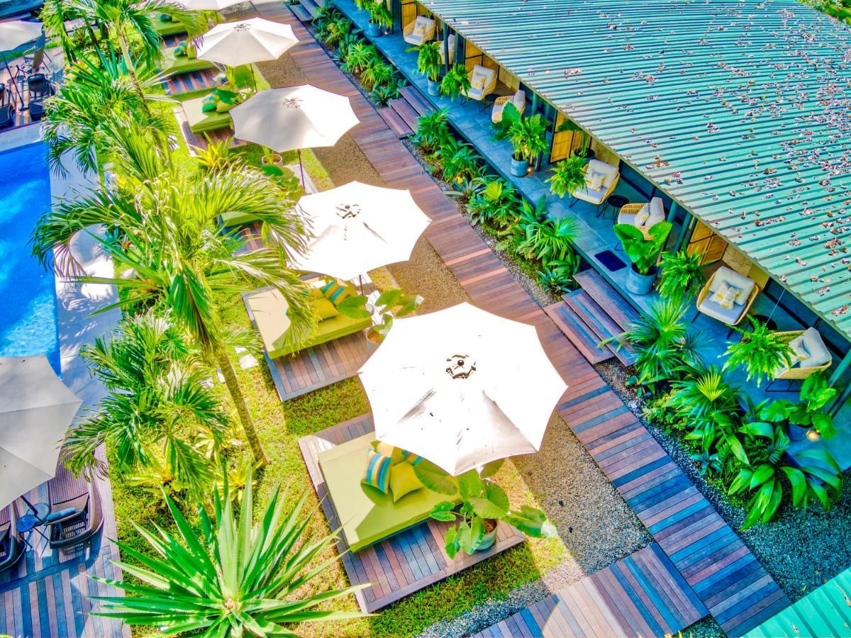 Exotico Beach Hotel Puerto Viejo de Talamanca Exteriér fotografie