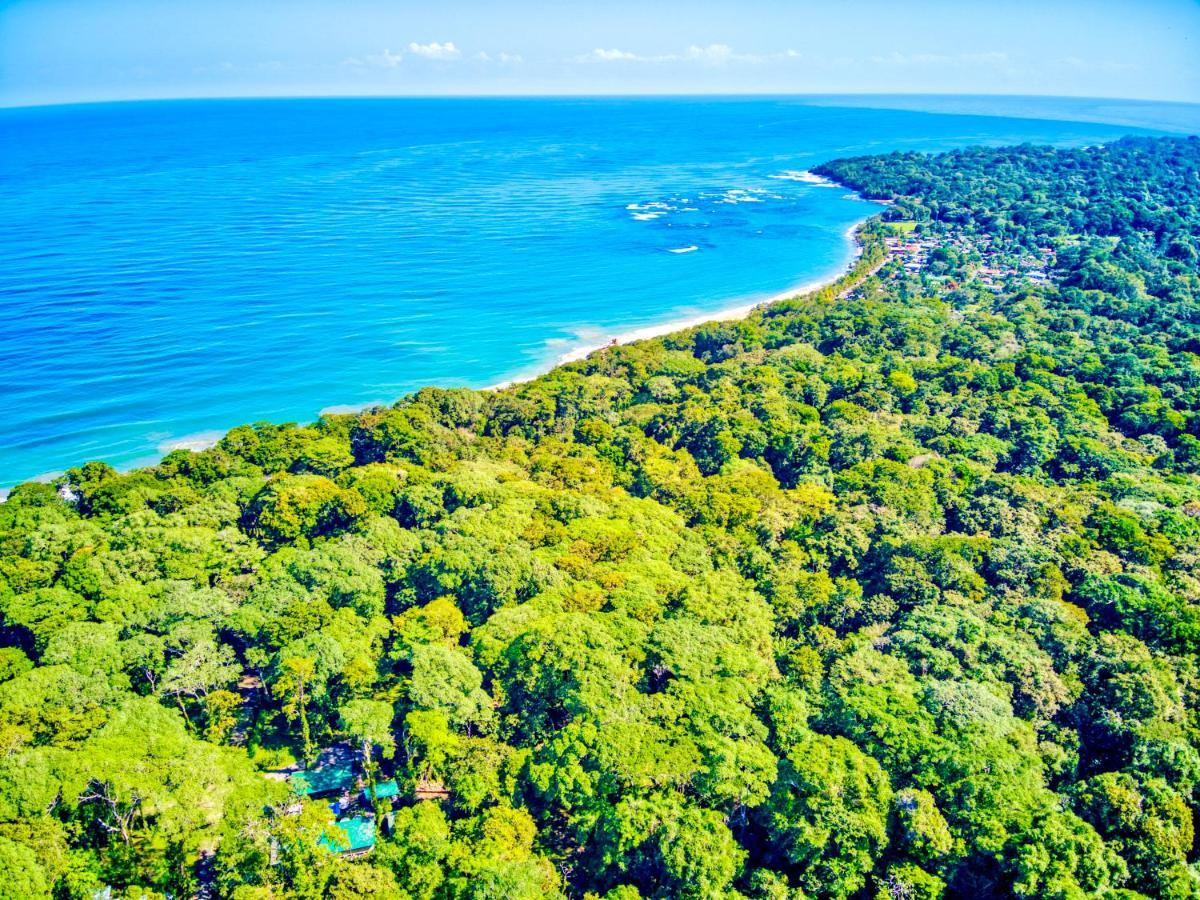 Exotico Beach Hotel Puerto Viejo de Talamanca Exteriér fotografie